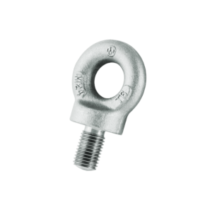 Galvanised Collared Eye Bolts with Metric Thread